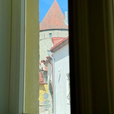 Luxury In The Heart Of Old Town 塔林