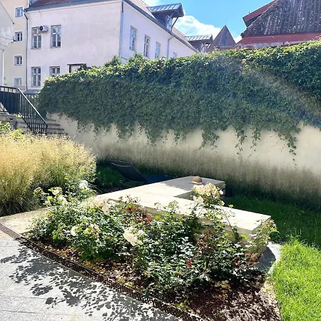 Luxury In The Heart Of Old Town Tallinn